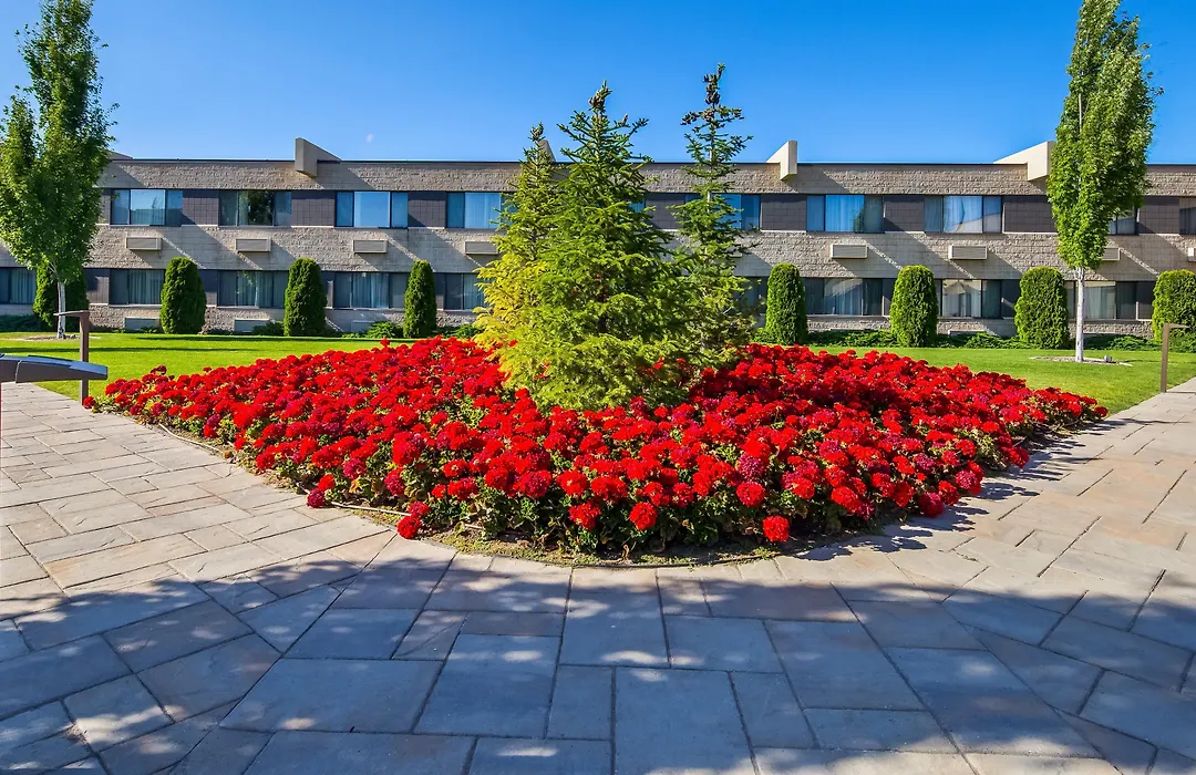 Best Western Plus University Inn-1
