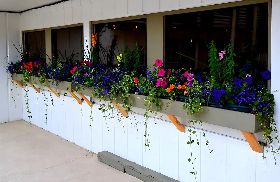 White Buffalo Hotel-1