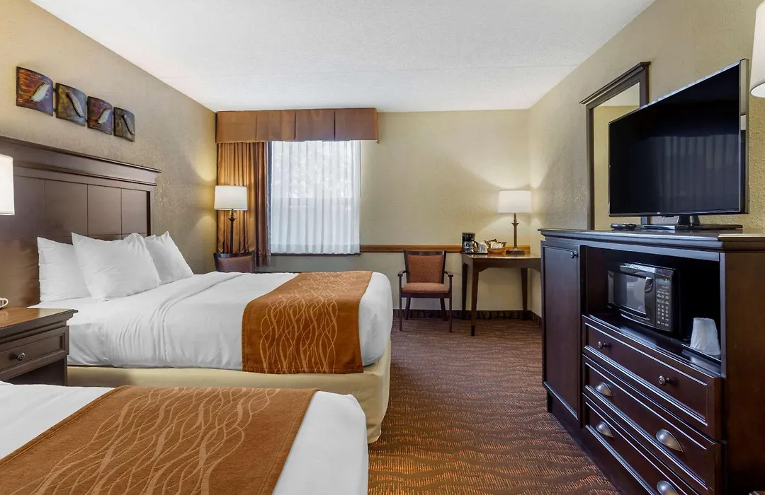 Comfort Inn At Thousand Hills-1