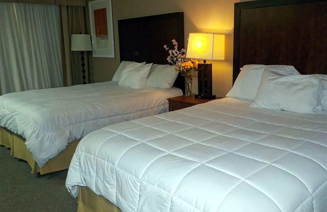 Hotel Del Sol - Pensacola-1