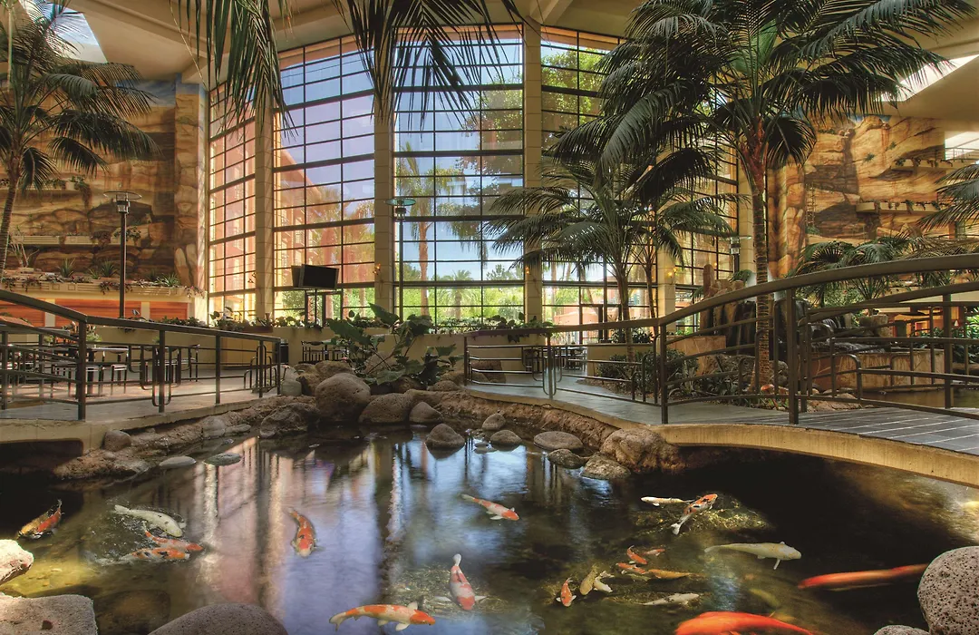 Embassy Suites By Hilton Phoenix Biltmore-1