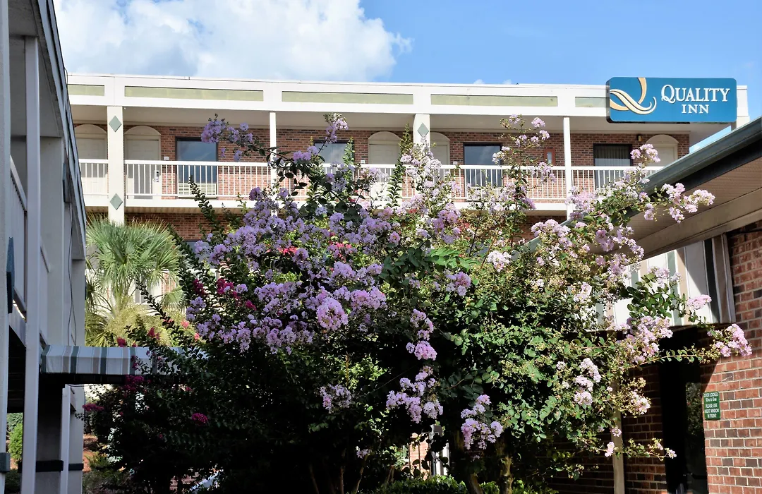 Rodeway Inn Harbison Area-1