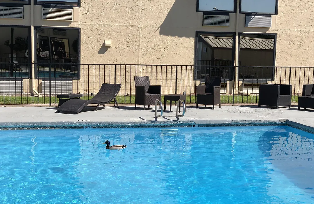 Abilene Whitten Inn-1