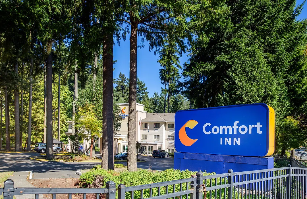 Comfort Inn Lacey - Olympia-1