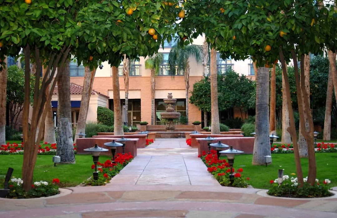 Tempe Mission Palms-1