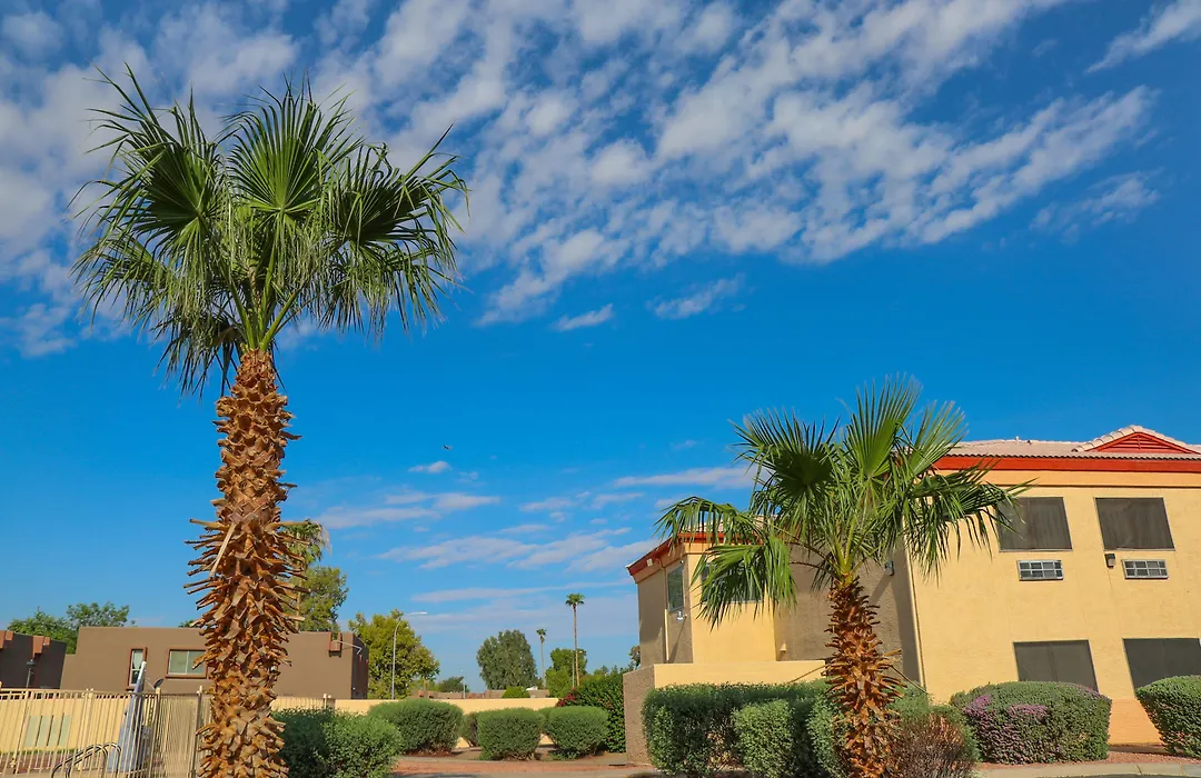 Budget Inn Phoenix-1