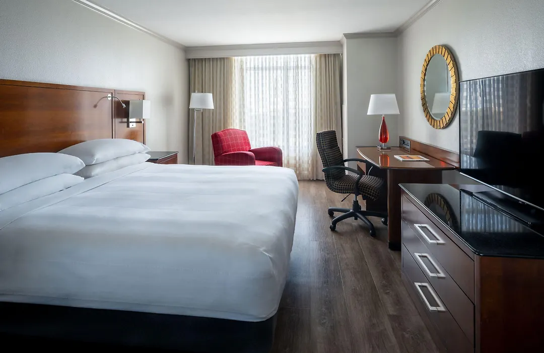 St. Petersburg Marriott Clearwater-1