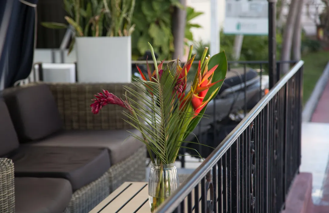 Odyssey Of South Beach Apart Hotel-1