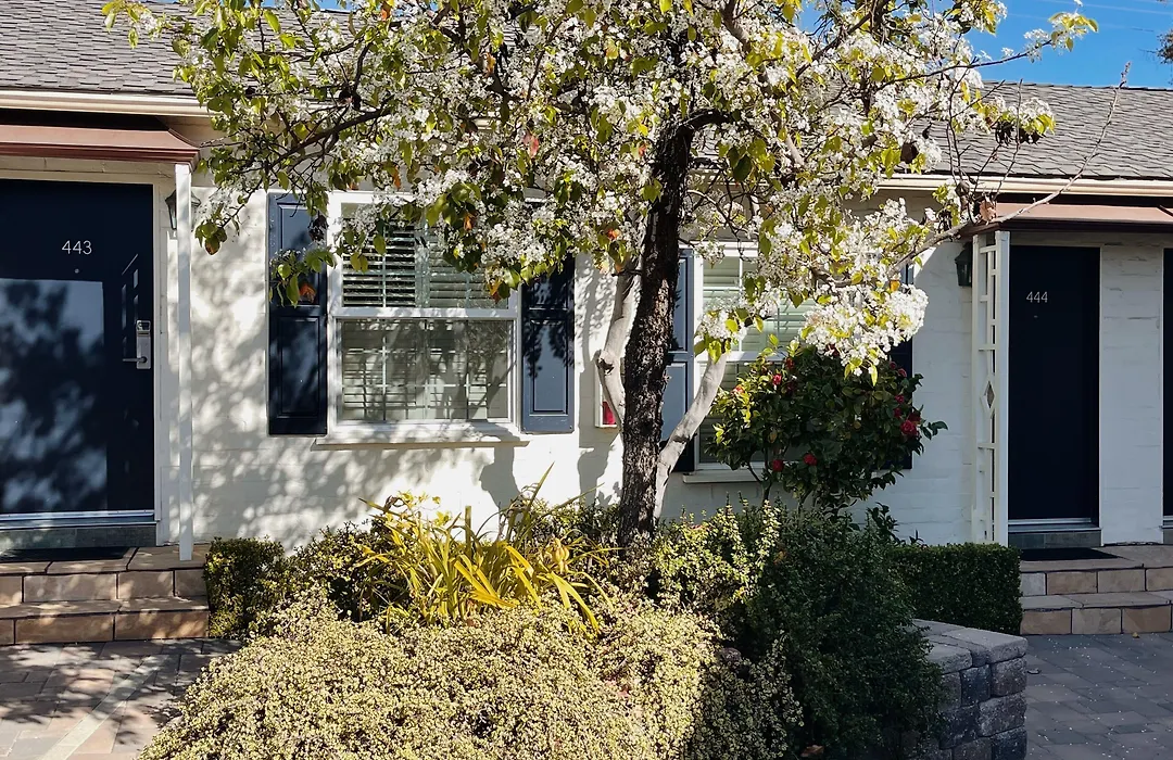 Le Petit Pali Brentwood-1
