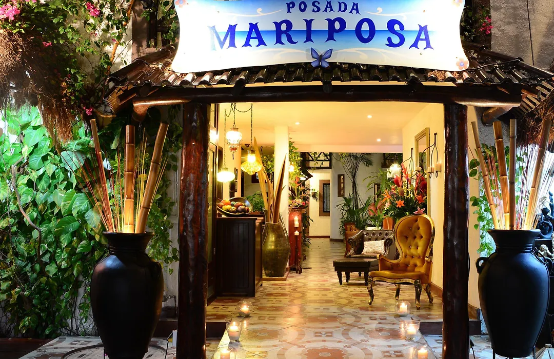 Posada Mariposa Boutique Hotel - 5Th Avenue-1