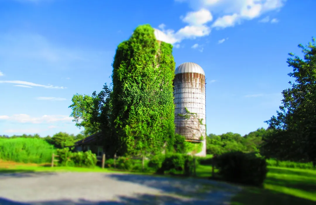 Saratoga Farmstead B&B-1