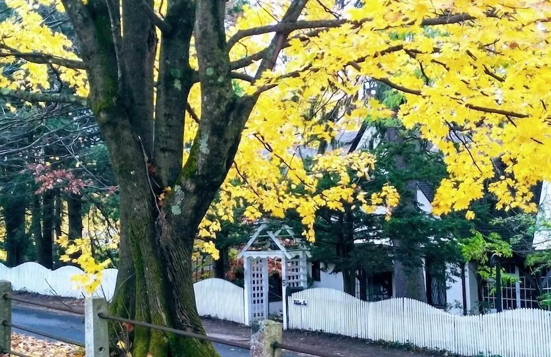 Whistler'S Inn-1