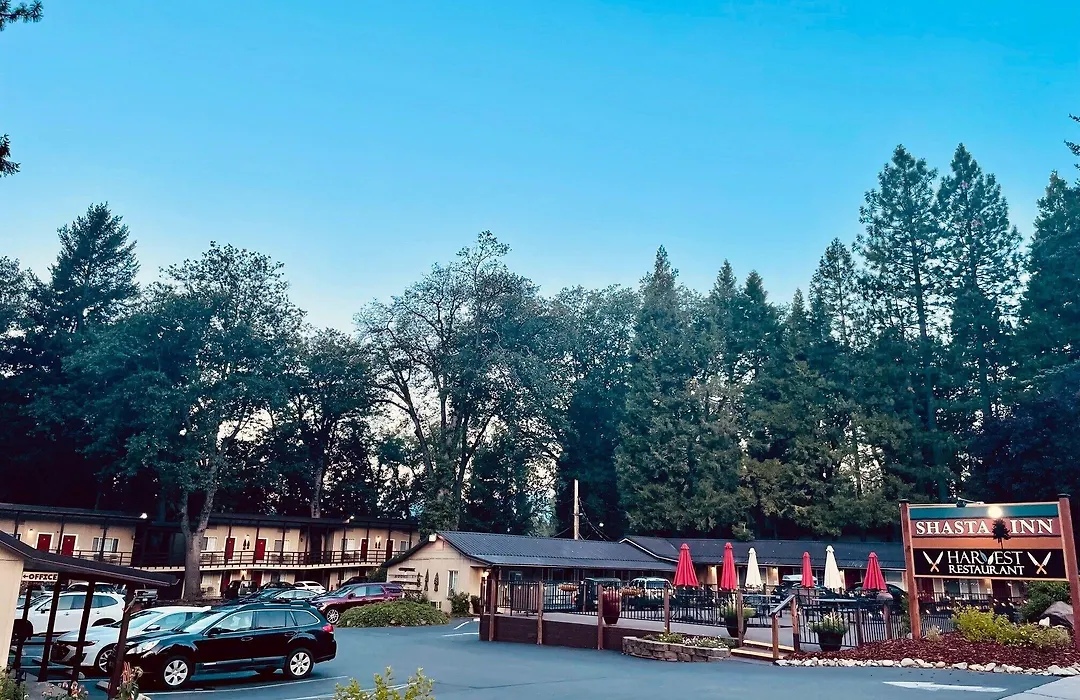 Shasta Inn-1