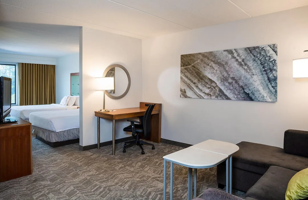 Springhill Suites Hampton-1