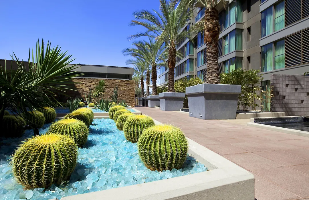 W Scottsdale-1