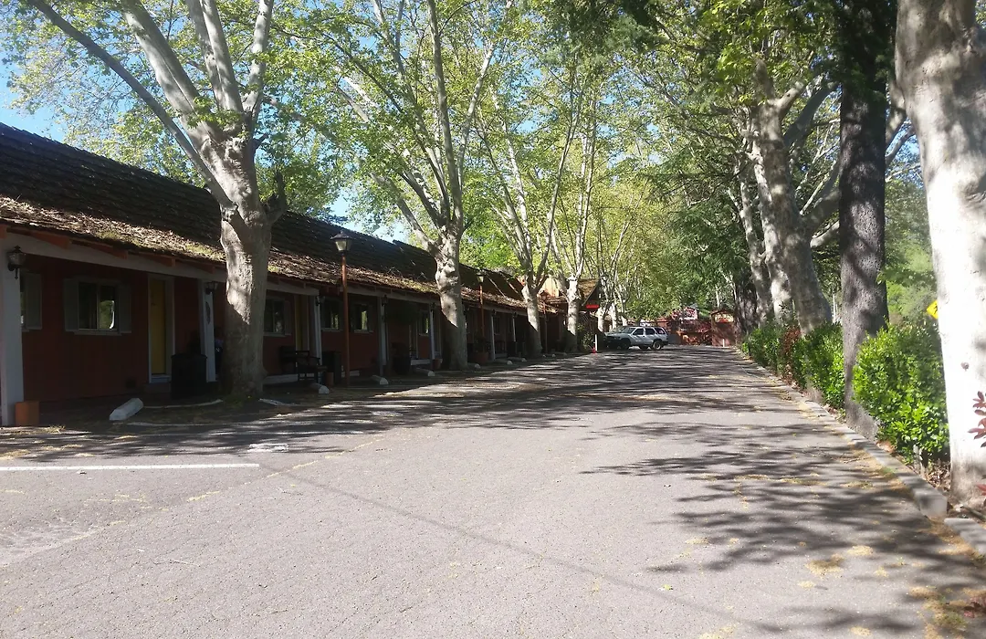 The Gold Lodge-1
