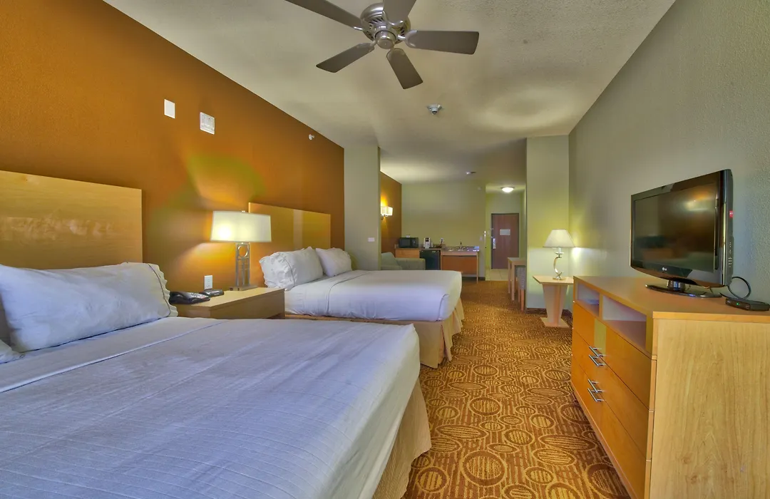 Holiday Inn Express & Suites Lubbock Southwest - Wolfforth By Ihg-1