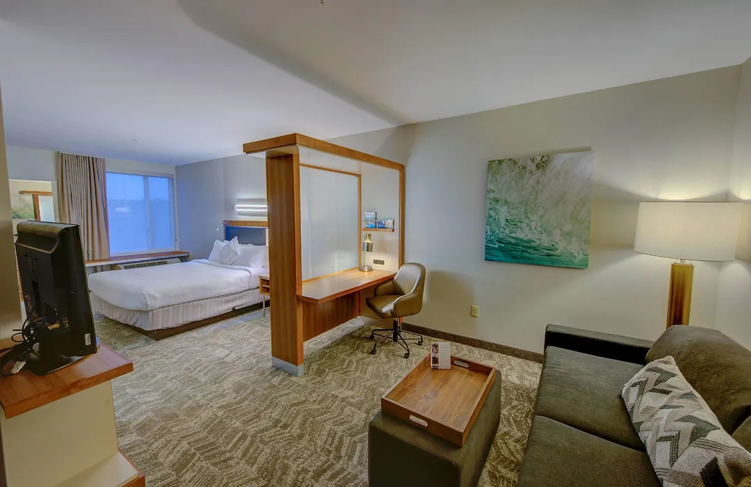 Springhill Suites By Marriott Macon-1