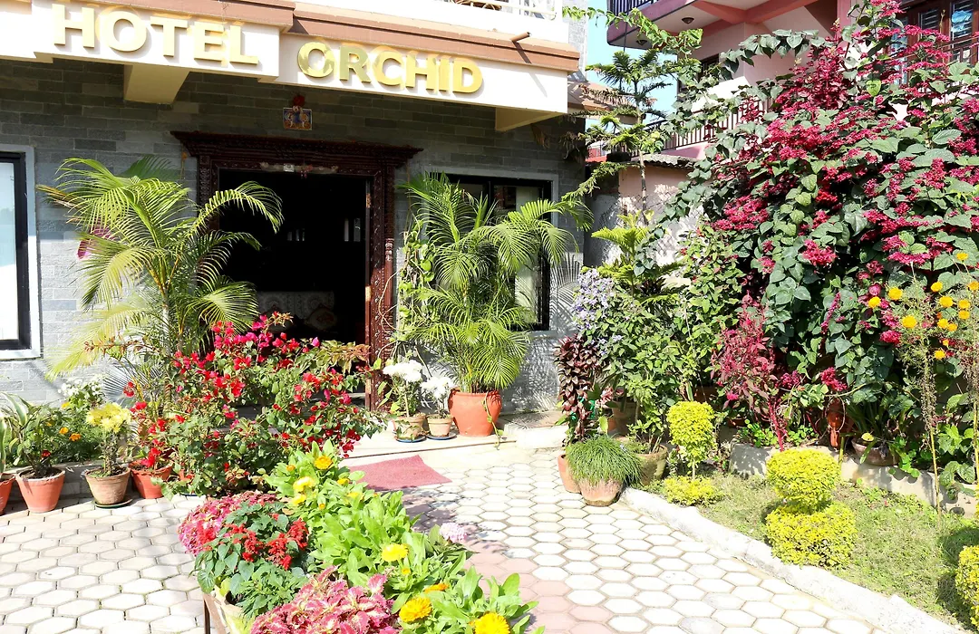 Hotel Orchid-1