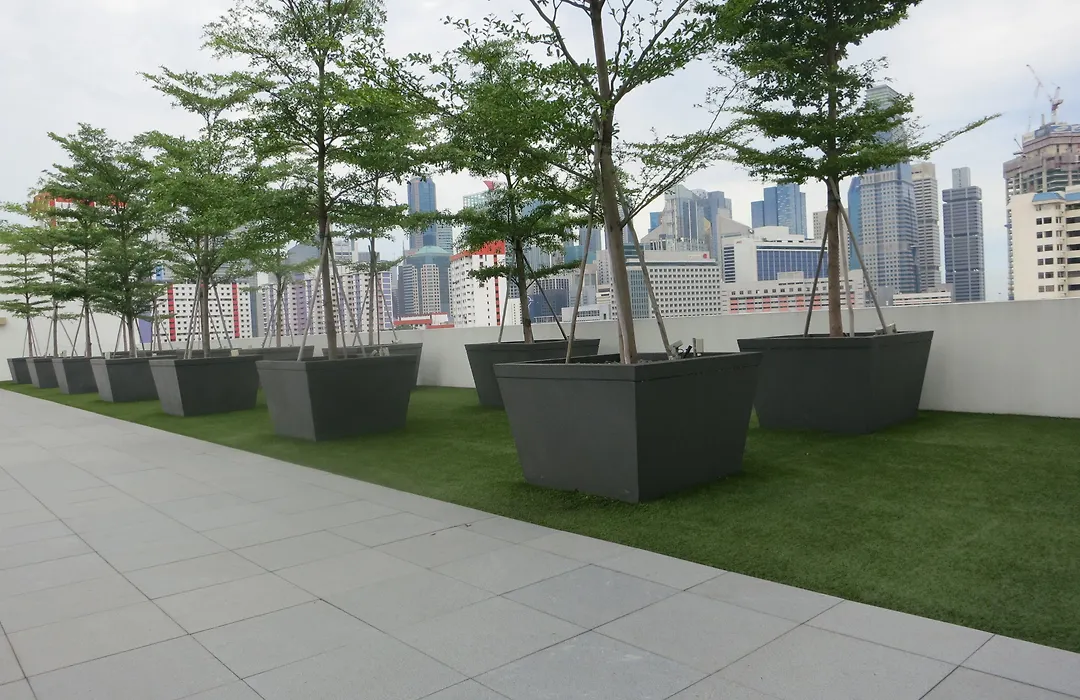Dorsett Singapore-1
