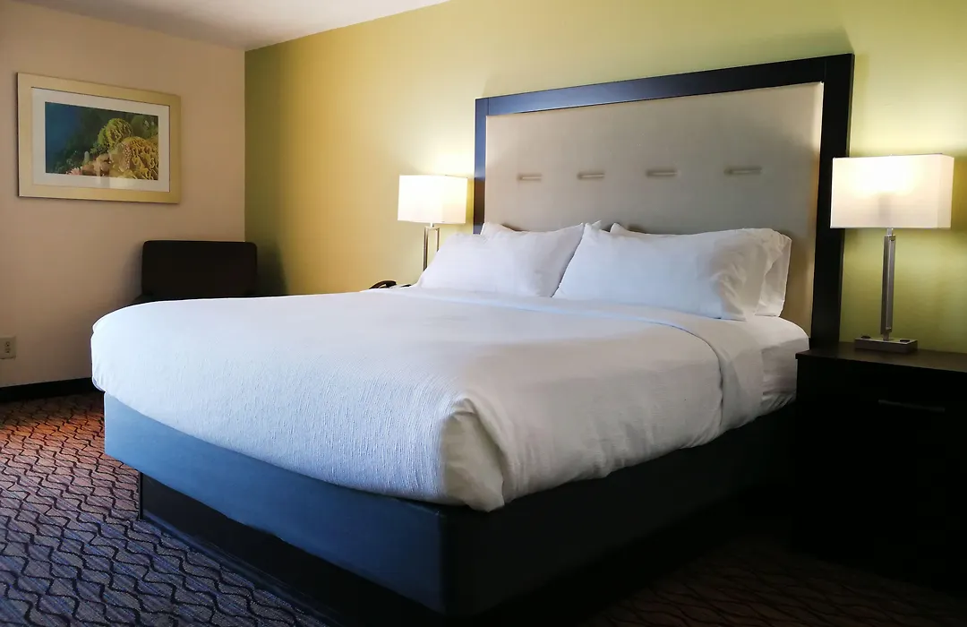Holiday Inn Corpus Christi Downtown Marina By Ihg-1