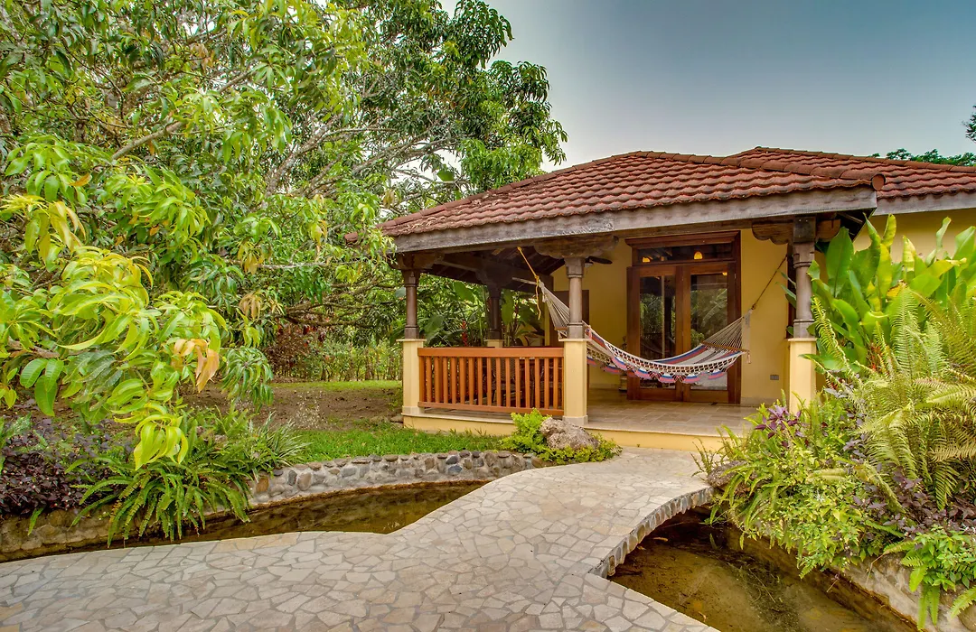 Sleeping Giant Rainforest Lodge-1
