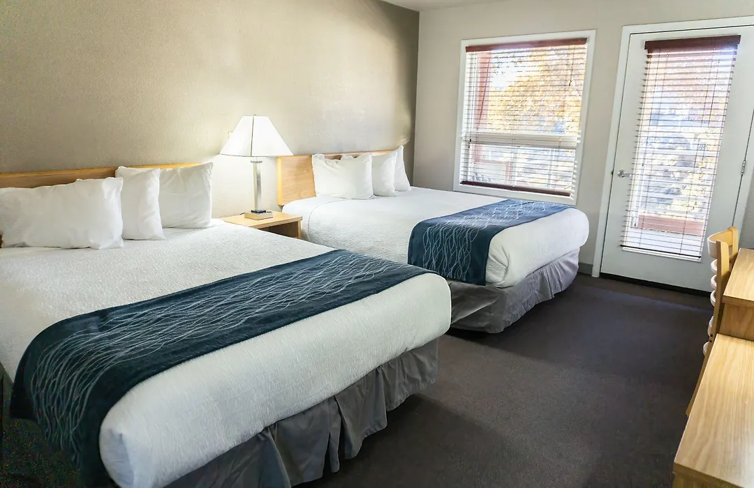 Absaroka Lodge-1