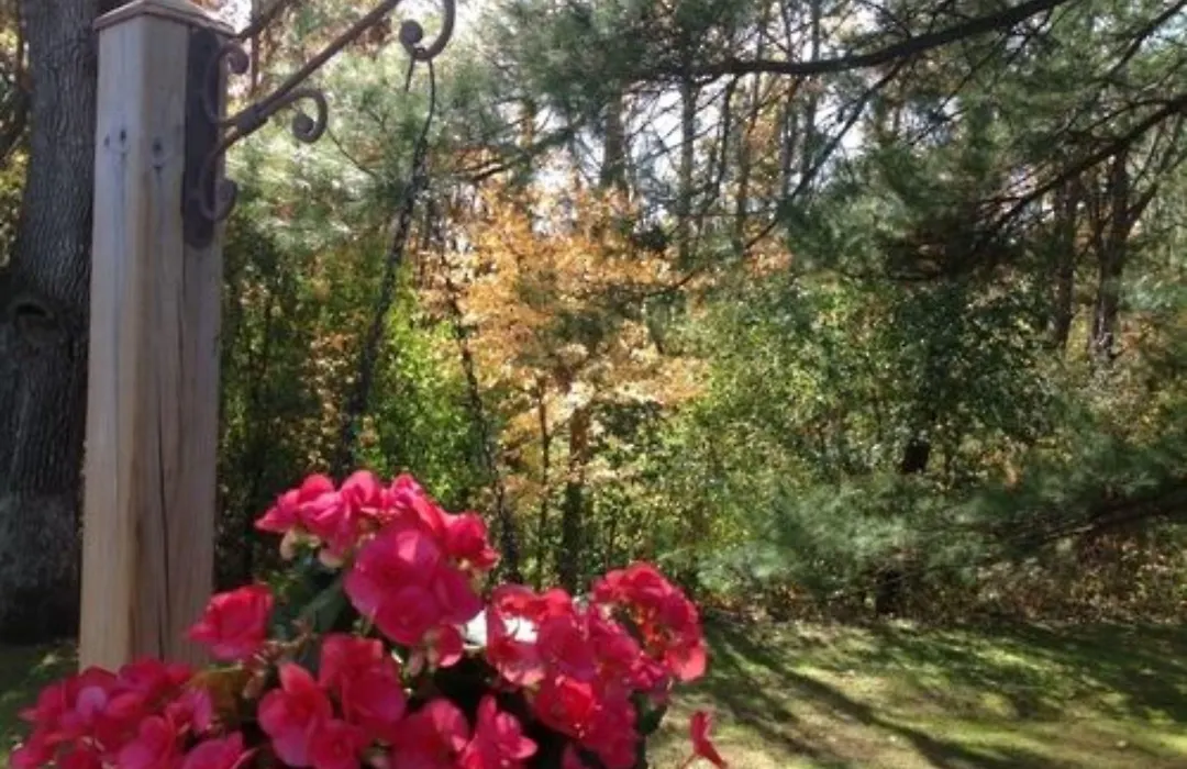 Oak Hill Bed And Breakfast-1