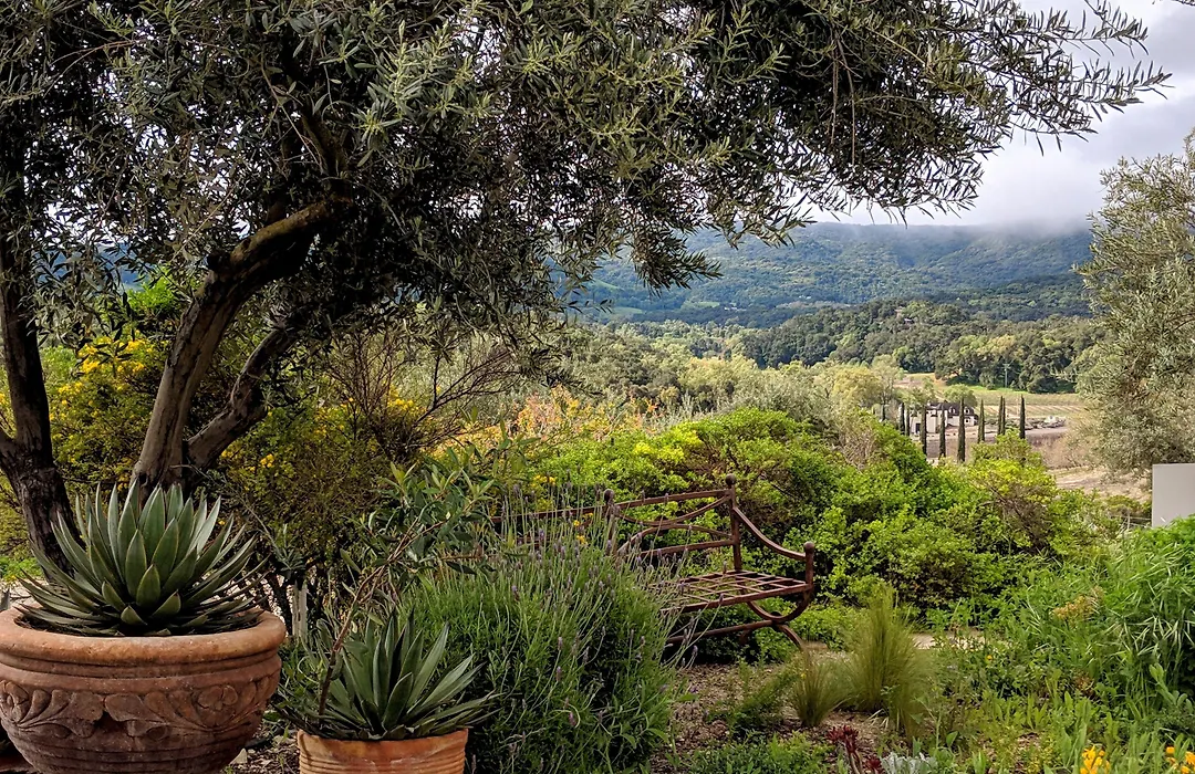 Croad Vineyards - The Inn-1