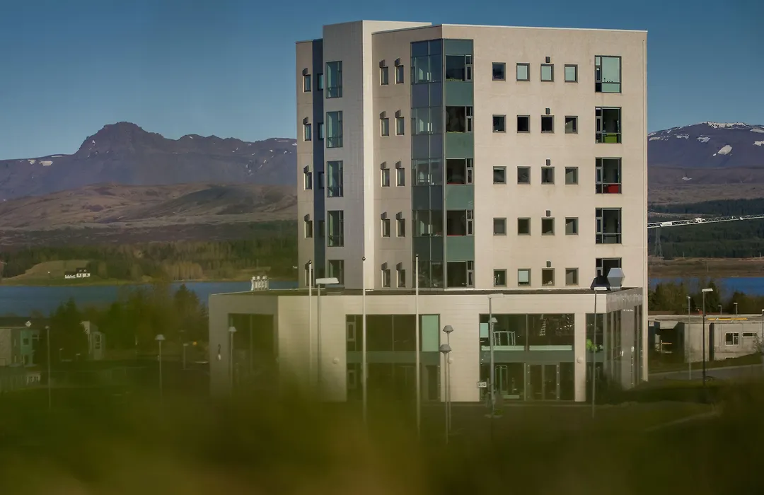 Blue Mountain Apartments By Heimaleiga-1