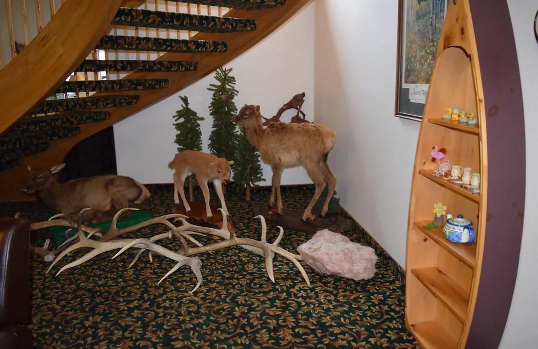 Greenwood Village Inn & Suites-1