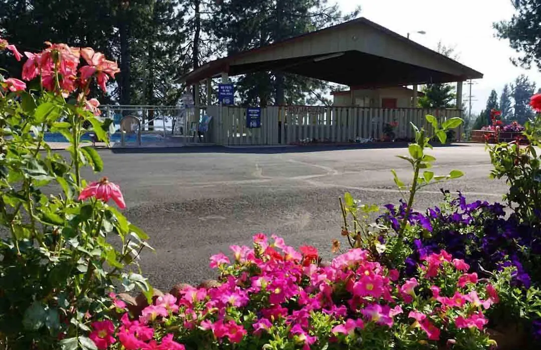 Swiss Holiday Lodge-1