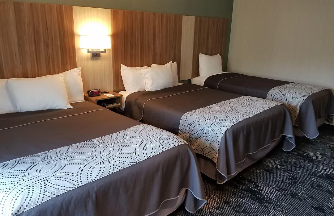 Aartpark Hotel Inn At Lewsiton-1