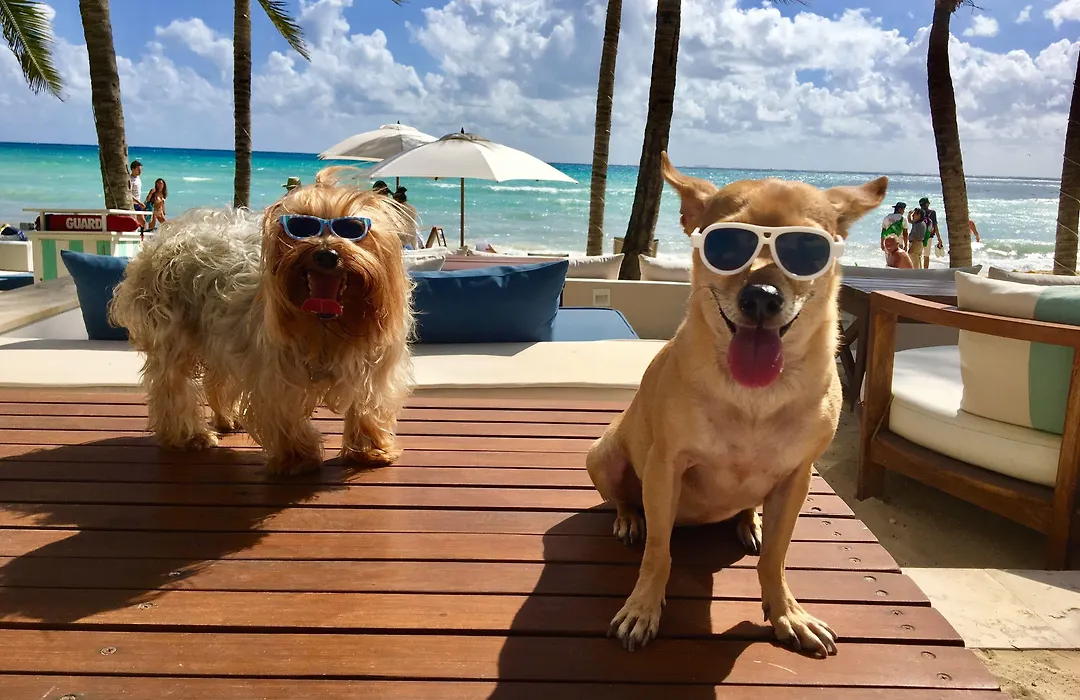 Thompson Playa Del Carmen Beach House By Hyatt-1