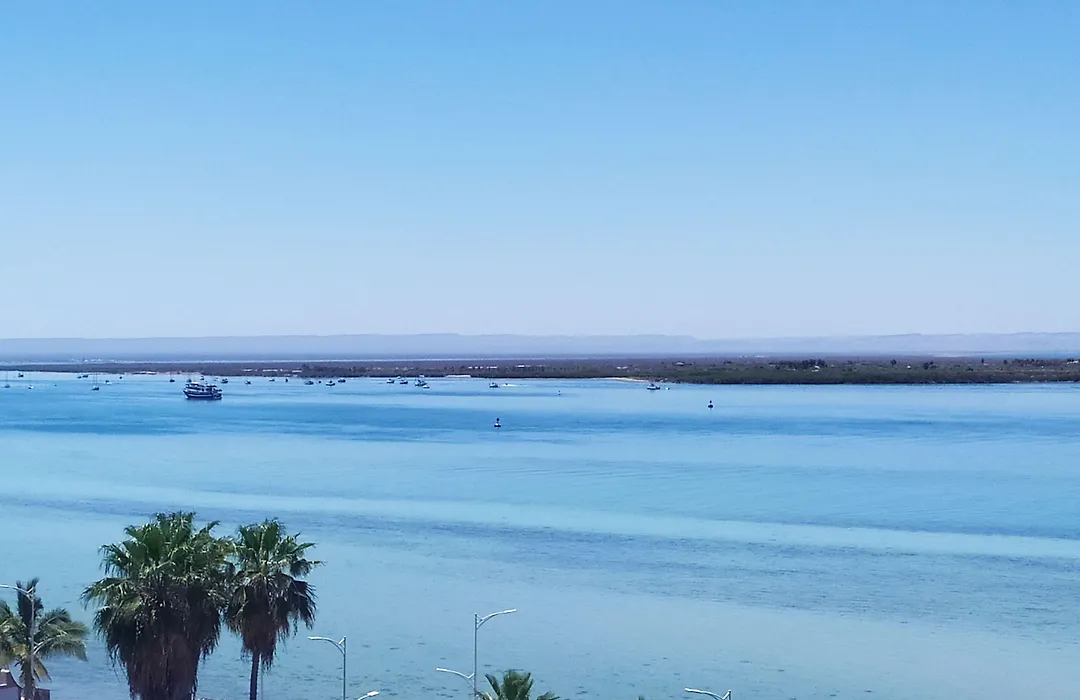 Las Gaviotas Condo-Hotel La Paz Bcs-1