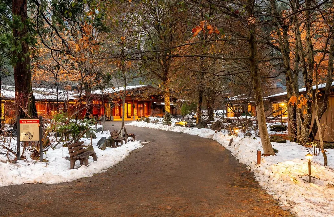 Yosemite Valley Lodge-1