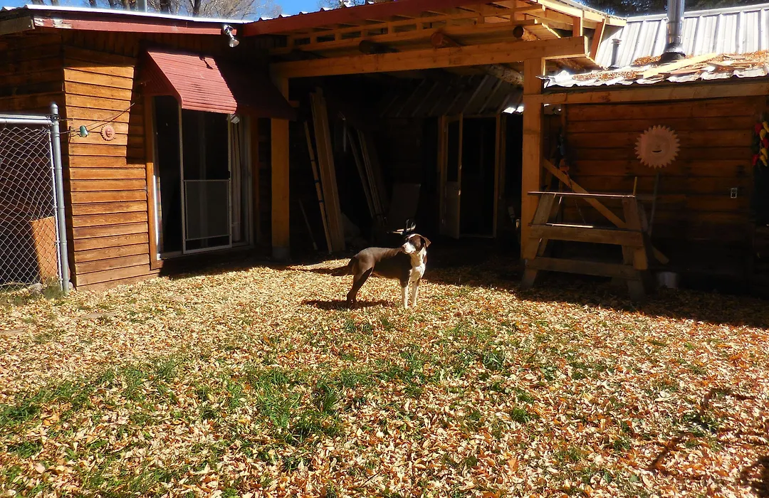 Elkhorn Lodge-1