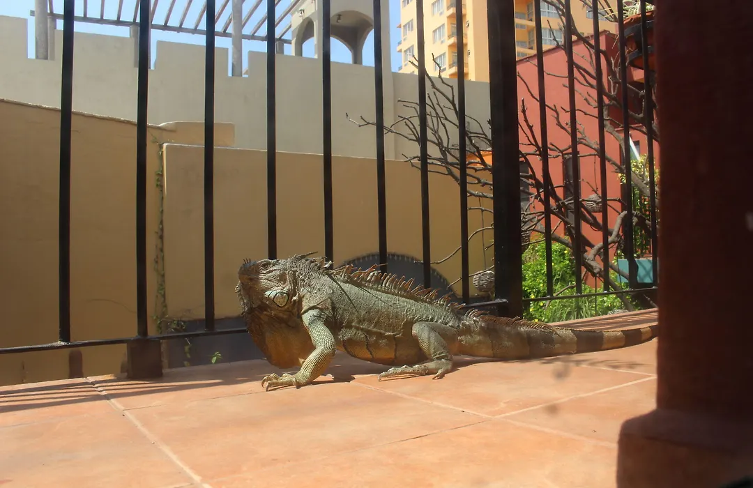 Casa De Leyendas (Adults Only)-1