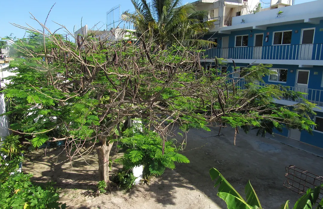 Blue Coconut Cancun Hotel-1