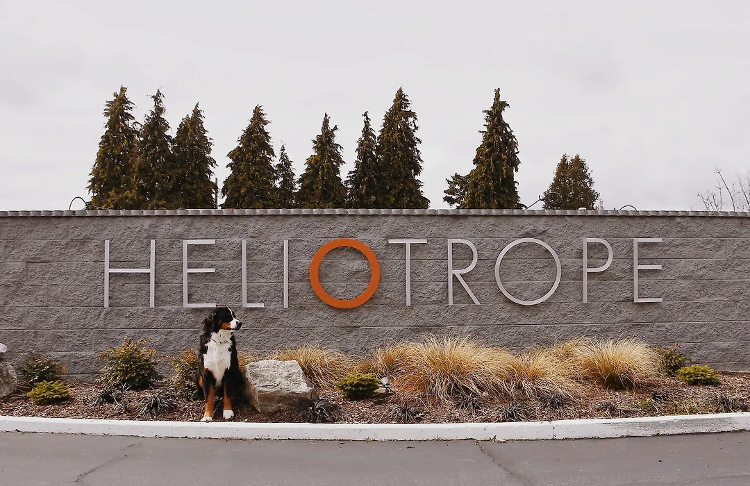 Heliotrope Hotel-1