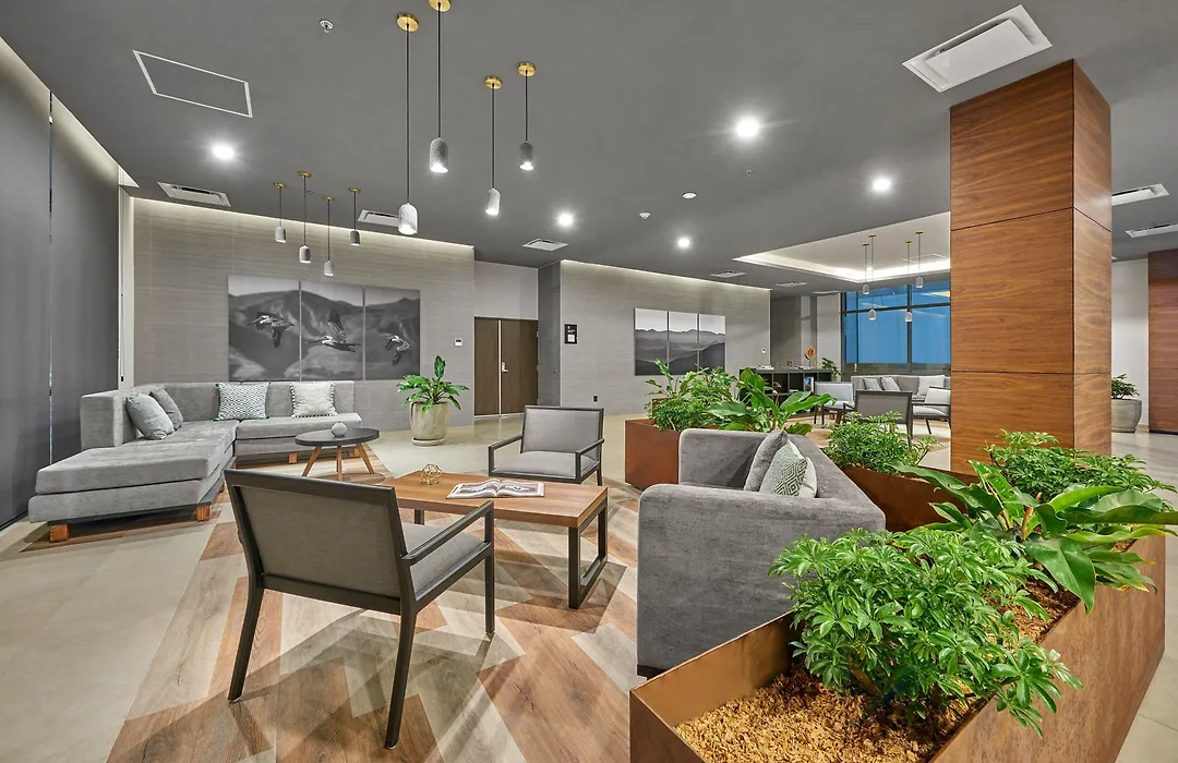 City Express Plus By Marriott Tijuana-1