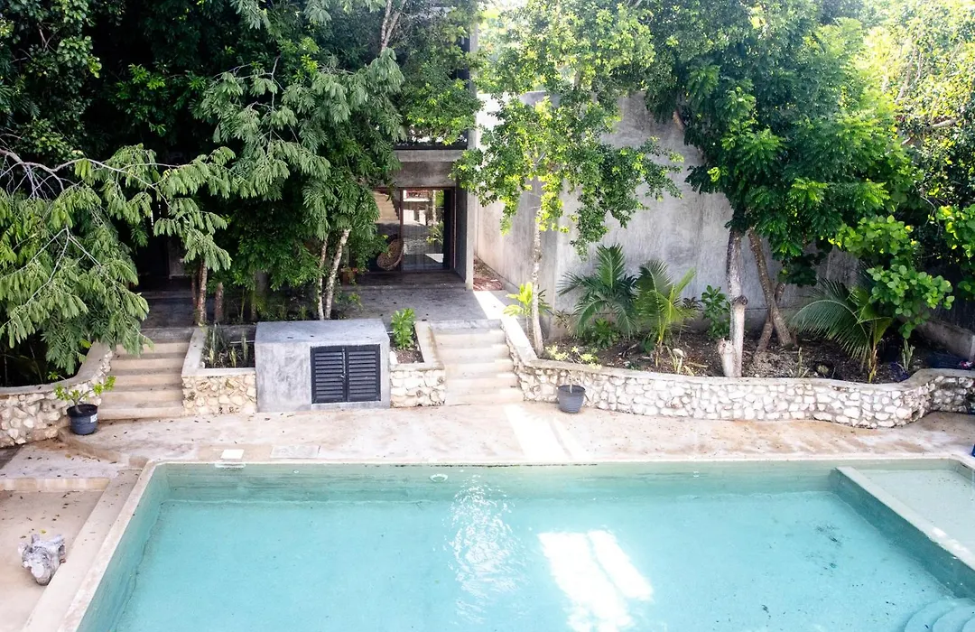 Hotel Casa Tortuga Tulum - Cenotes Park Inclusive-1