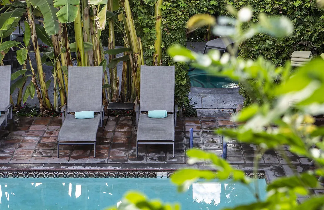 Hotel California - A Town & Desert Boutique Hotel-1
