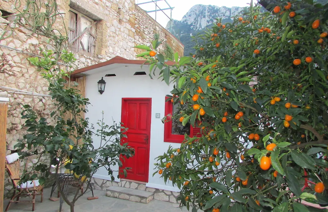 Casa Palazzo A Mare-1