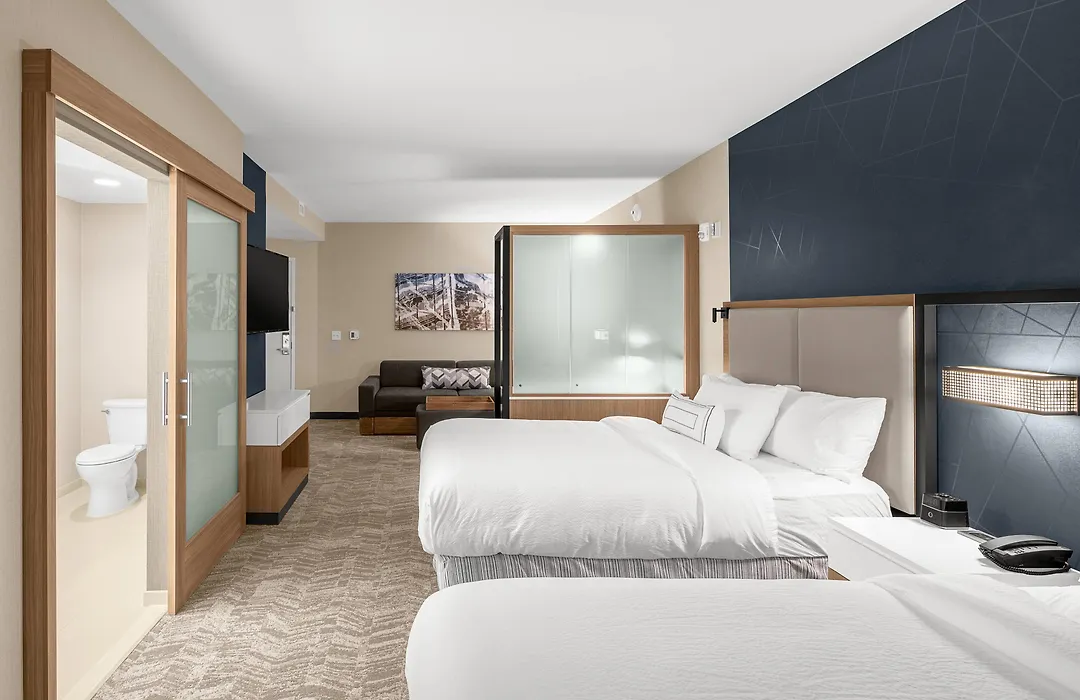 Springhill Suites By Marriott Jackson-1