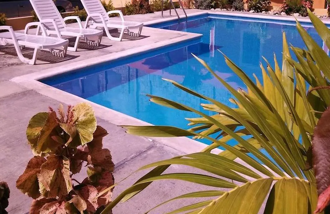 Apartahotel Next Nivel - Queen Room-1