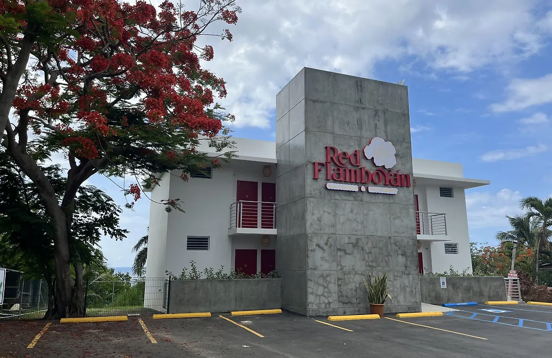Red Flamboyan Guesthouse And Restaurant-1