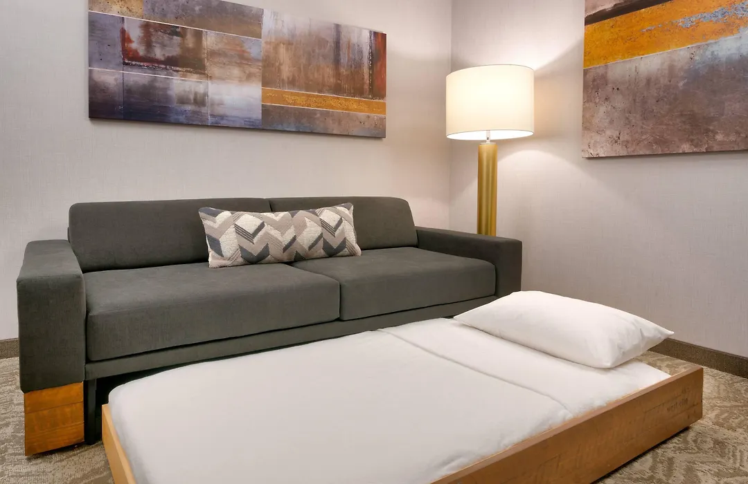 Springhill Suites By Marriott Colorado Springs North/Air Force Academy-1