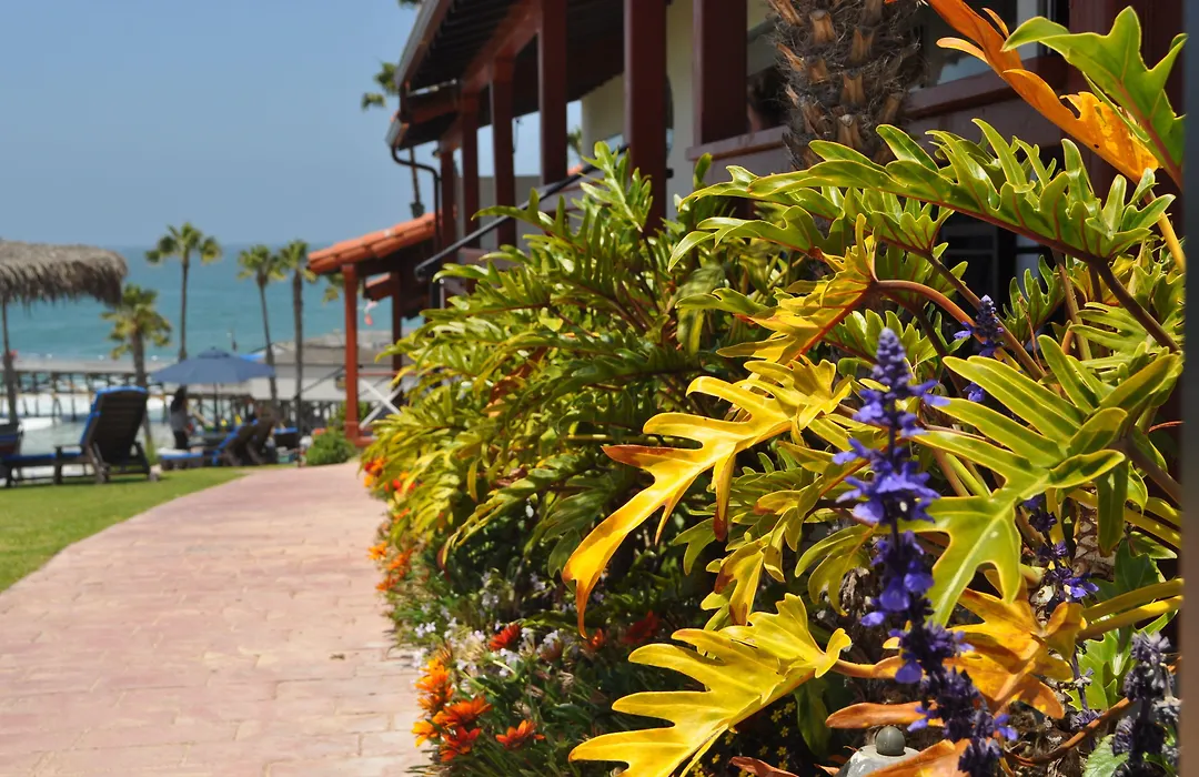 Beachcomber Inn-1
