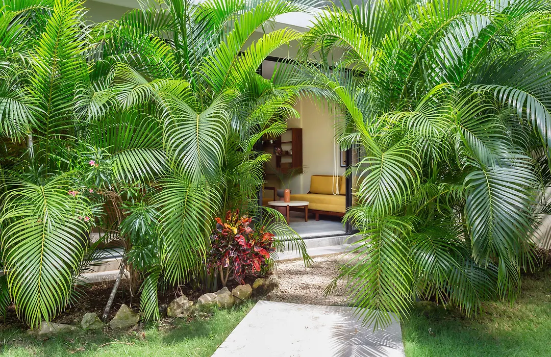 Xperience Tulum Hotel-1